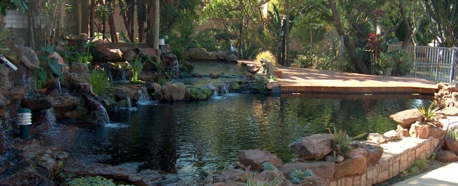 koi-pond-durban-11