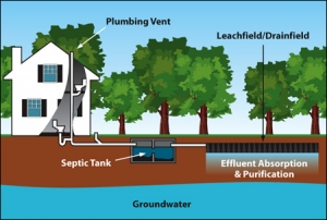 septic-system-diagram